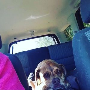 Meet your Posher, Ashlyn